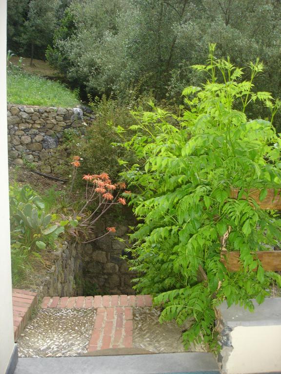 Angel'S House Monterosso al Mare Exterior foto
